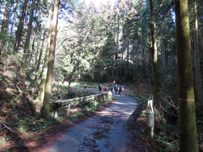 日和田山、物見山